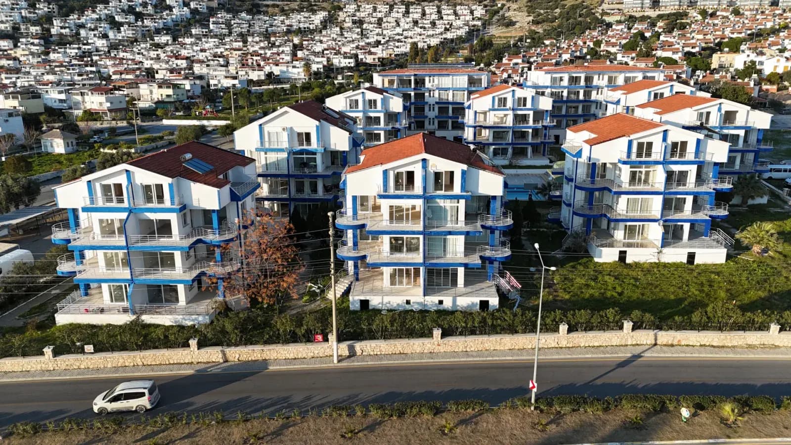 Pino Apart, Aydın